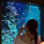 ヒメ日記 2025/08/19 07:50 投稿 いちか 熊本しこたまクリニック