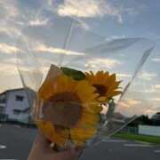 ヒメ日記 2025/09/10 00:10 投稿 いちか 熊本しこたまクリニック