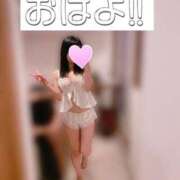 ヒメ日記 2025/06/19 06:00 投稿 いぶ Fの法則