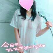 ヒメ日記 2025/07/19 06:00 投稿 いぶ Fの法則