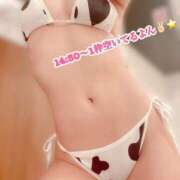 ヒメ日記 2025/09/13 09:23 投稿 いぶ Fの法則