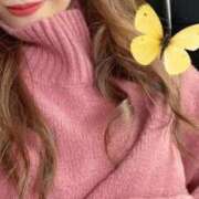 ヒメ日記 2025/11/05 16:45 投稿 芹沢 りの テレジア横浜