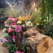 ヒメ日記 2025/12/17 12:55 投稿 芹沢 りの テレジア横浜