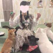 ヒメ日記 2025/06/17 07:00 投稿 みお CECIL