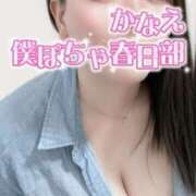 ヒメ日記 2026/03/27 18:50 投稿 かなえ 僕らのぽっちゃリーノin越谷