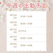 ヒメ日記 2026/04/14 09:10 投稿 かなえ 僕らのぽっちゃリーノin野田