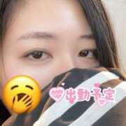 ヒメ日記 2026/03/29 12:31 投稿 かなえ 僕らのぽっちゃリーノin春日部