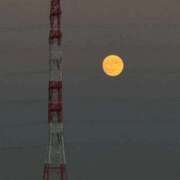 ヒメ日記 2025/10/06 12:25 投稿 こむぎ 人妻倶楽部内緒の関係 春日部店