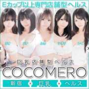 ヒメ日記 2025/06/11 11:16 投稿 レイ COCOMERO（ココメロ）