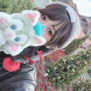 ヒメ日記 2025/12/09 16:16 投稿 レイ COCOMERO（ココメロ）