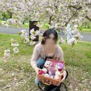 ヒメ日記 2026/05/04 06:46 投稿 レイ COCOMERO（ココメロ）