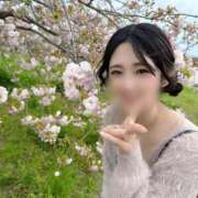 ヒメ日記 2026/05/08 23:16 投稿 レイ COCOMERO（ココメロ）
