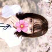 りま あったかい季節🌸 デザインプリズム新宿