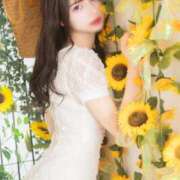 ヒメ日記 2025/09/27 13:24 投稿 くるみ CECIL