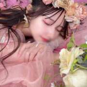 ヒメ日記 2026/01/05 23:03 投稿 くるみ CECIL