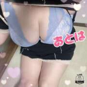 ヒメ日記 2025/06/04 12:30 投稿 おとは 山梨甲府甲斐ちゃんこ