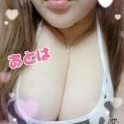 ヒメ日記 2025/08/04 12:34 投稿 おとは 山梨甲府甲斐ちゃんこ