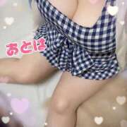 ヒメ日記 2025/09/05 19:27 投稿 おとは 山梨甲府甲斐ちゃんこ
