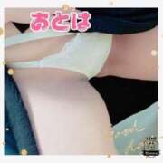 ヒメ日記 2025/10/03 15:04 投稿 おとは 山梨甲府甲斐ちゃんこ