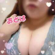 ヒメ日記 2025/10/04 13:02 投稿 おとは 山梨甲府甲斐ちゃんこ