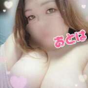 ヒメ日記 2025/11/04 11:00 投稿 おとは 山梨甲府甲斐ちゃんこ