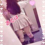 おとは 推せる時に推せ🥹💓 山梨甲府甲斐ちゃんこ