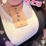 おとは もーどっぴ！ 山梨甲府甲斐ちゃんこ