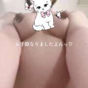 かるあ あいたにょーーん🈳 NesoMania