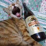 ヒメ日記 2025/07/12 19:28 投稿 かりん アイムシェイク