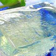 ヒメ日記 2025/07/26 17:28 投稿 かりん アイムシェイク