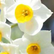 ヒメ日記 2025/10/13 10:10 投稿 かりん アイムシェイク