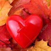 ヒメ日記 2025/10/20 10:10 投稿 かりん アイムシェイク