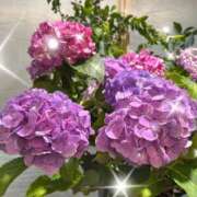 ヒメ日記 2025/06/15 16:09 投稿 れん 贅沢なひと時