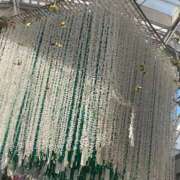 ヒメ日記 2025/08/10 12:24 投稿 らいむ 熟女の風俗最終章 仙台店