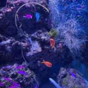 ヒメ日記 2025/09/12 07:04 投稿 らいむ 熟女の風俗最終章 仙台店