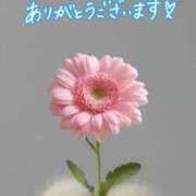 ヒメ日記 2026/01/31 17:45 投稿 紺野りさ セカンドパートナー