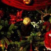 ヒメ日記 2025/12/19 20:26 投稿 明里 昼顔妻 五反田店