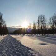 ヒメ日記 2026/02/25 00:06 投稿 明里 昼顔妻 五反田店