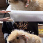 ヒメ日記 2025/11/03 15:15 投稿 みれい 彼女の部屋本店