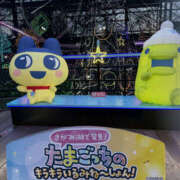 ヒメ日記 2026/03/12 05:55 投稿 みれい 彼女の部屋本店