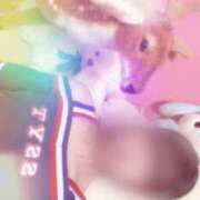 ヒメ日記 2025/08/19 15:45 投稿 もえ 子猫カフェ 小倉店