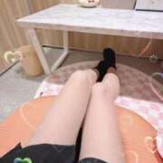 ヒメ日記 2026/01/06 10:35 投稿 もえ 子猫カフェ 小倉店