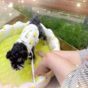 ヒメ日記 2025/07/16 15:18 投稿 大沢瑠美 五十路マダム　広島店