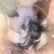 ヒメ日記 2025/10/09 12:16 投稿 大沢瑠美 五十路マダム　広島店