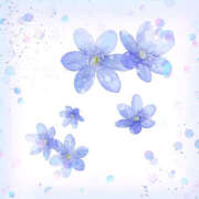 ヒメ日記 2025/10/27 16:55 投稿 るい PLATINA