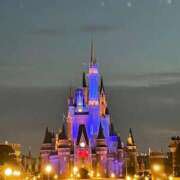 ヒメ日記 2025/12/31 13:08 投稿 さえ 成田富里インターちゃんこ