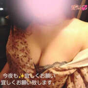 ヒメ日記 2025/06/10 16:53 投稿 愛梨 TSUBAKI（水戸）