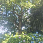 ヒメ日記 2025/06/25 00:38 投稿 愛梨 TSUBAKI（水戸）