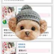 ヒメ日記 2025/08/29 15:07 投稿 愛梨 TSUBAKI（水戸）