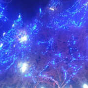 ヒメ日記 2025/12/18 06:08 投稿 愛梨 TSUBAKI（水戸）